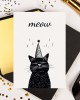 kp-0120-cat-front-1.jpg